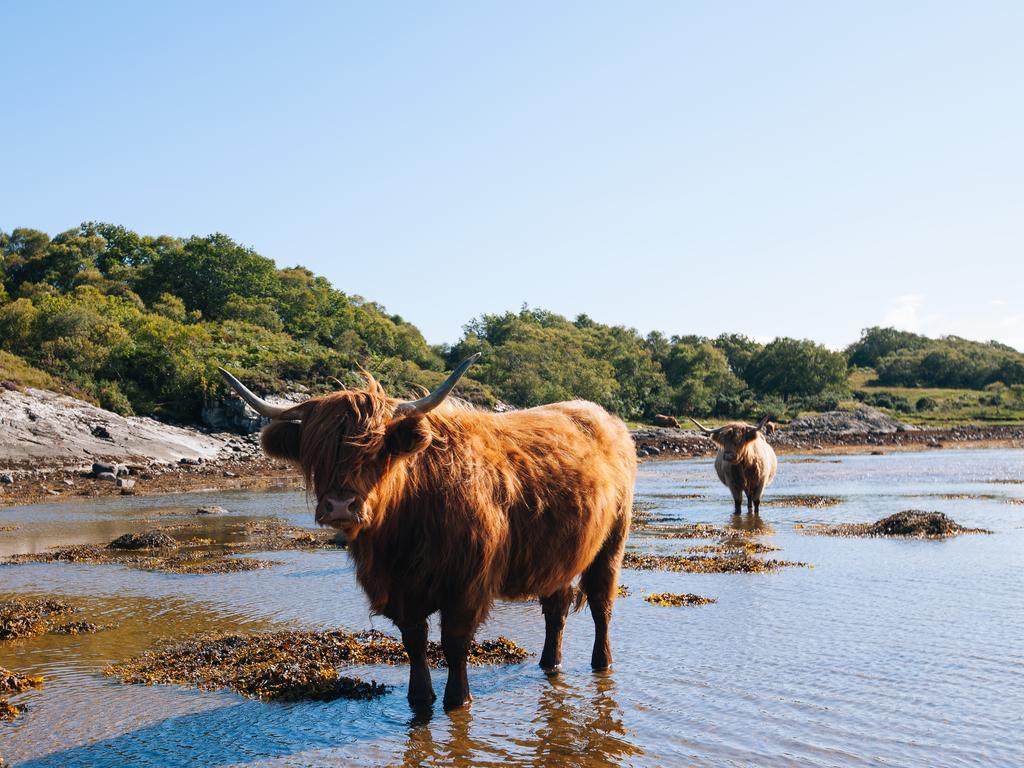 Alojamento de Turismo Rural Shenavallie Farm Benderloch